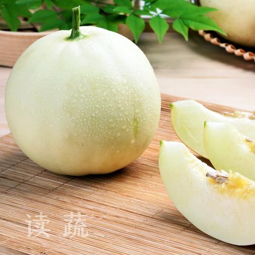 香瓜(台湾品种美浓) - 水果