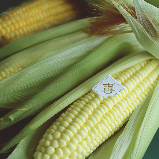 甜心玉米 Corn On The Cob 商品图1