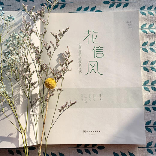 静香的花道生活 花信风 小原流花道技艺进阶 本书每种花型都配以具体案例每个案例有详细制作过程设计构思插制要点讲解简单易上手 商品图2