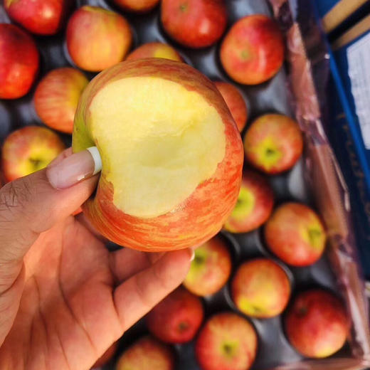 南非牛顿小苹果特别脆甜多汁苹果的香甜气味浓郁超好吃
