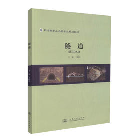 正版现货 隧道 职业教育土木类专业规划教材 王国庆 编著 土木类专业规划教材 职业教育 隧道工程 规划教材 土木类
