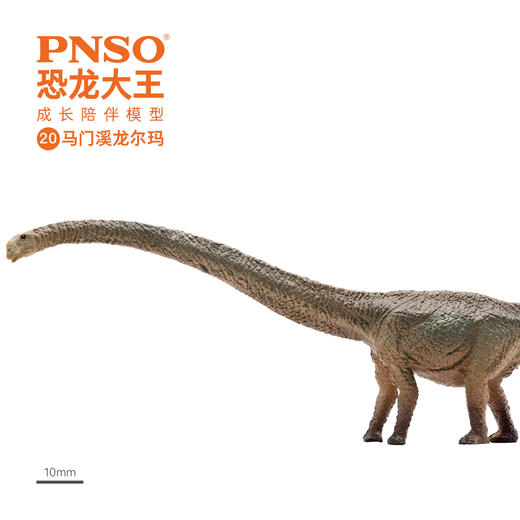 PNSO恐龙大王成长陪伴模型20马门溪龙尔玛 商品图2