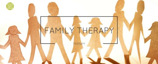 家庭治疗临床训练——从理论到实践 · 第八届 商品图1