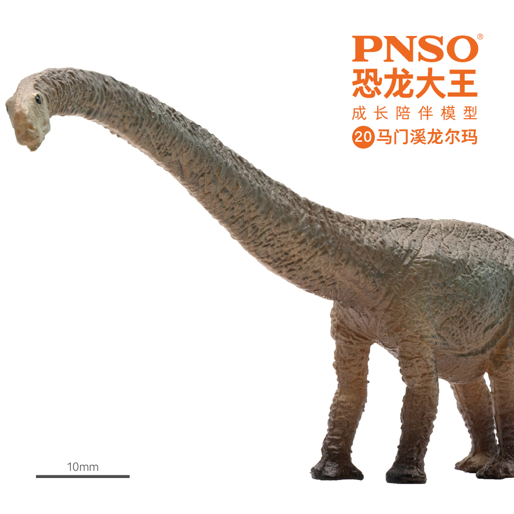 PNSO恐龙大王成长陪伴模型20马门溪龙尔玛