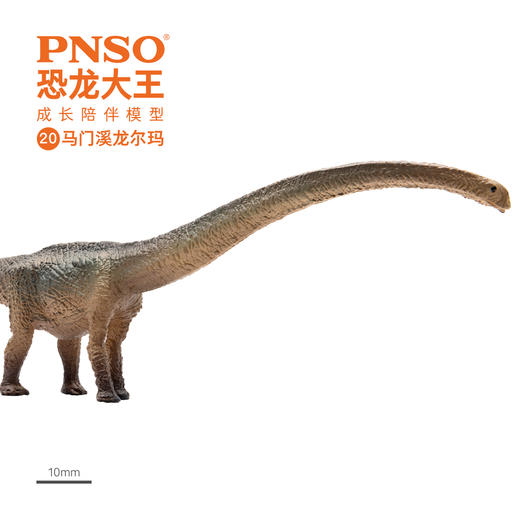 PNSO恐龙大王成长陪伴模型20马门溪龙尔玛 商品图4