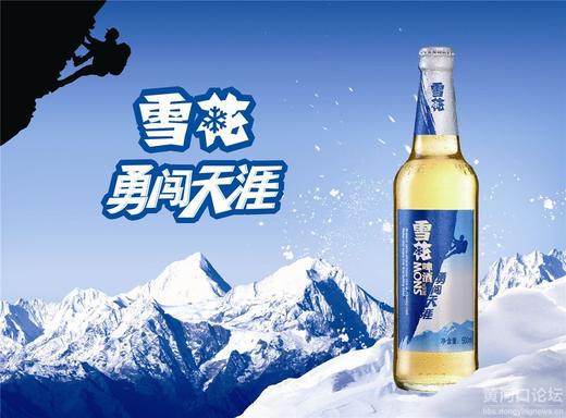 雪花勇闯天涯(瓶装) 500ml*12 商品图3