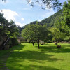【五一专场~丹霞灵溪】深山藏美景，458元起入住丹霞灵溪明月谷客房+美味早餐+双人大门票+单程缆车/小火车，世外桃园，五一家庭出游首选！（使用日期：2026年5月1日-5月5日） 商品缩略图2