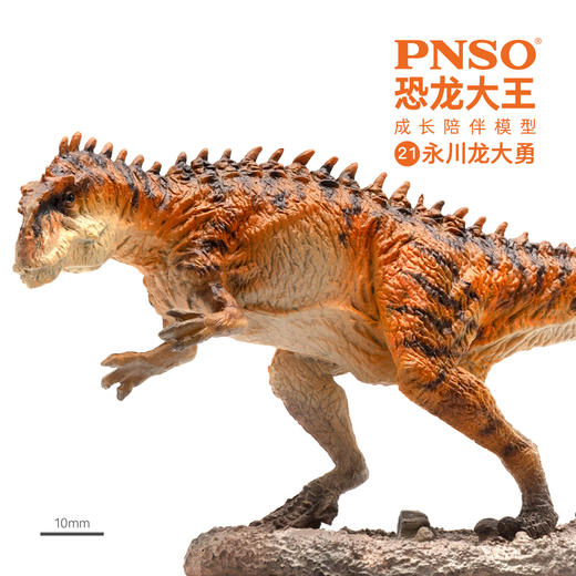 PNSO恐龙大王成长陪伴模型21永川龙大勇 商品图2