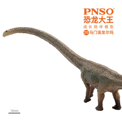 PNSO恐龙大王成长陪伴模型20马门溪龙尔玛 商品图5