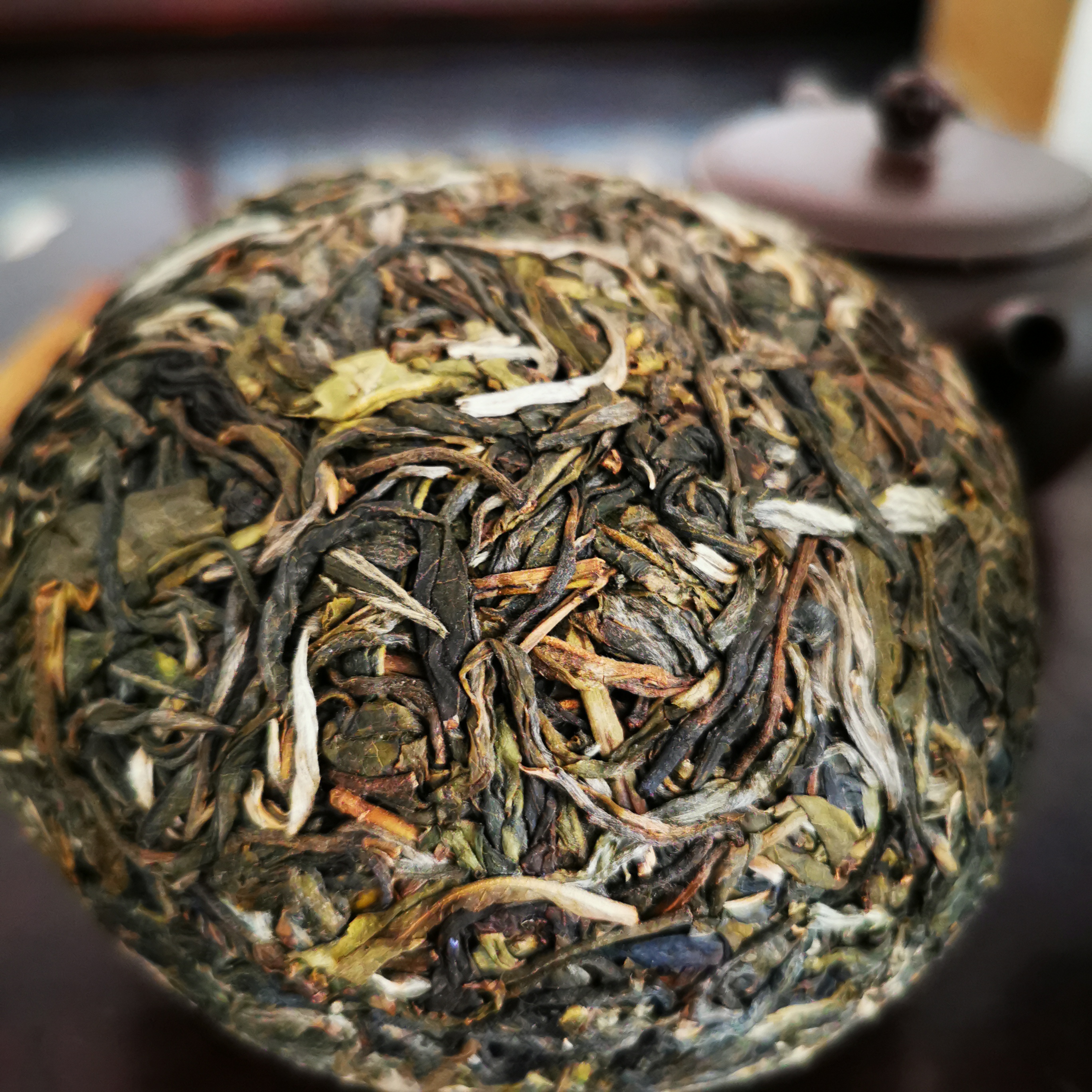 金瓜贡沱困鹿山2019早春生茶660克普洱茶区有根基的一款茶
