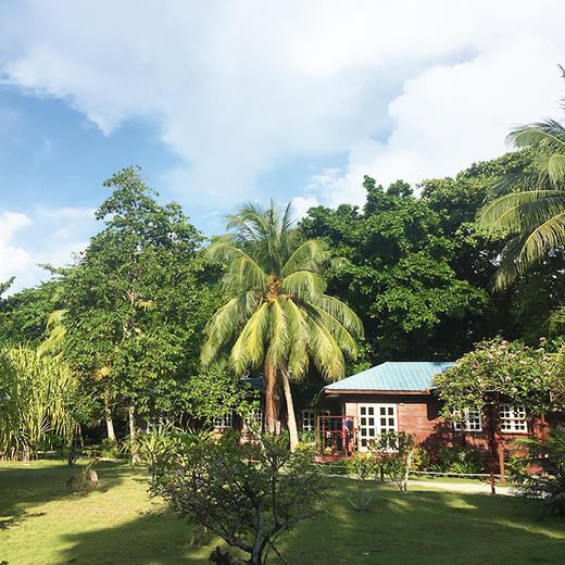 恋海假期Borneo Divers婆罗潜水马布岛度假村仙本那诗巴丹婆罗洲 商品图2