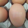 无菌鸡蛋朝一鸡蛋 5kg 装可生食生吃新鲜无抗生素放心蛋5箱以上价格更优惠 商品缩略图5