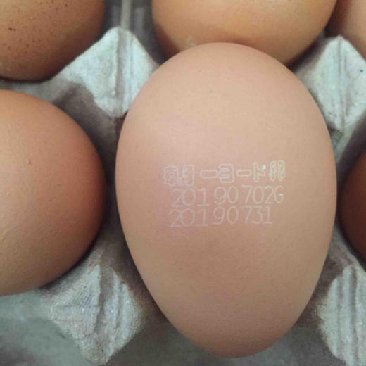 无菌鸡蛋朝一鸡蛋 5kg 装可生食生吃新鲜无抗生素放心蛋5箱以上价格更优惠 商品图5