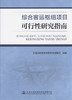 综合客运枢纽项目可行性研究指南 商品缩略图1