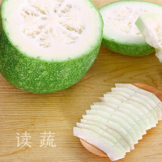青皮冬瓜 (约750g) 商品图0