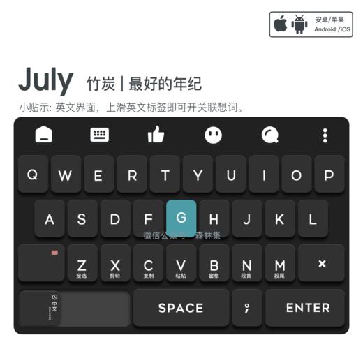 《July》升级包 / 最好的年纪 / 增强型皮肤 / 百度输入法 /  安卓iOS 商品图2