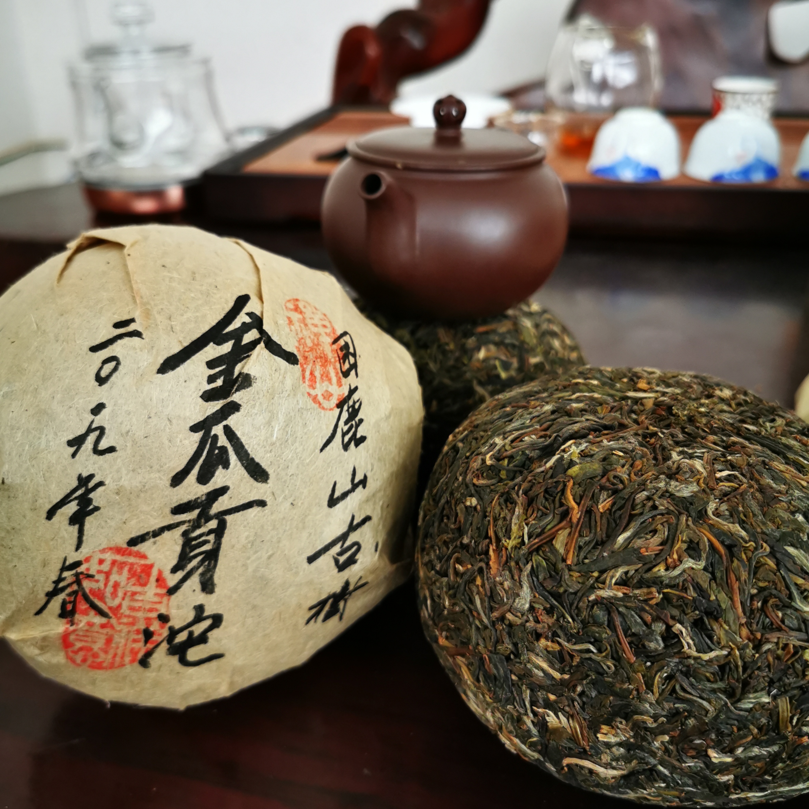 金瓜贡沱困鹿山2019早春生茶660克普洱茶区最有根基的一款茶