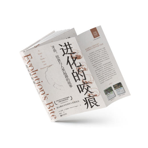 进化的咬痕（郑磊博士签名版）：牙齿、饮食与人类起源的故事 商品图2