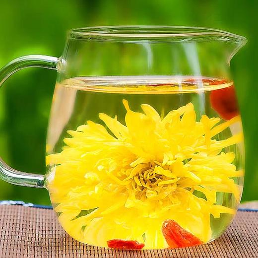 【买1送1】黄山原产金丝皇菊茶大朵花茶 商品图3