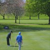 山顿公园高尔夫俱乐部 Shandon Park Golf Club | 英国高尔夫球场/俱乐部 | 北爱尔兰 | 欧洲高尔夫 商品缩略图1