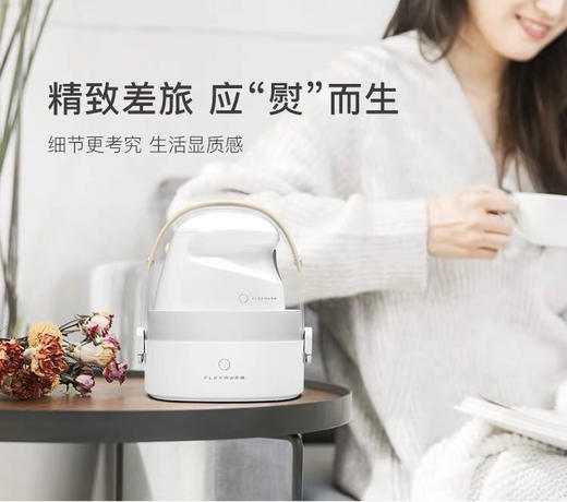 店里自留，飞乐思小巧蒸气熨斗 商品图3
