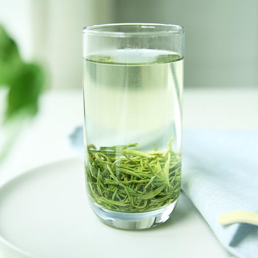 2026新茶 特尊茶5星毛尖明前春茶毛尖 250g*1袋 商品图4