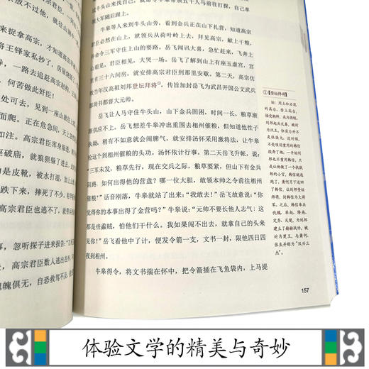 优等生必读文库·中国古典名著系列：经典赏读本 岳飞传 商品图4