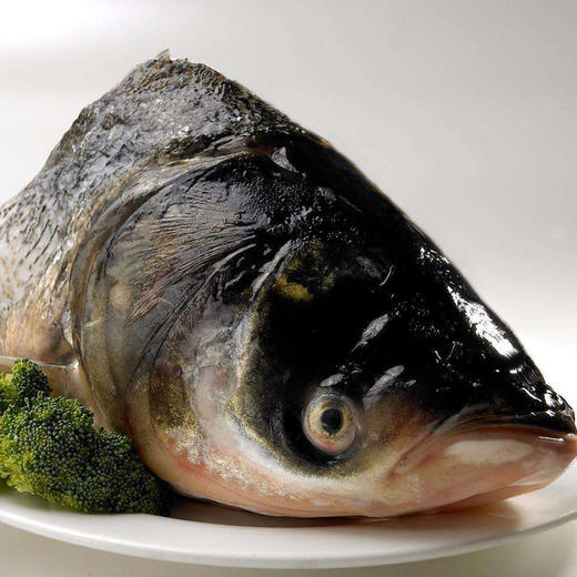 【千岛湖胖头鱼】1条 - 小耘牛快乐农场