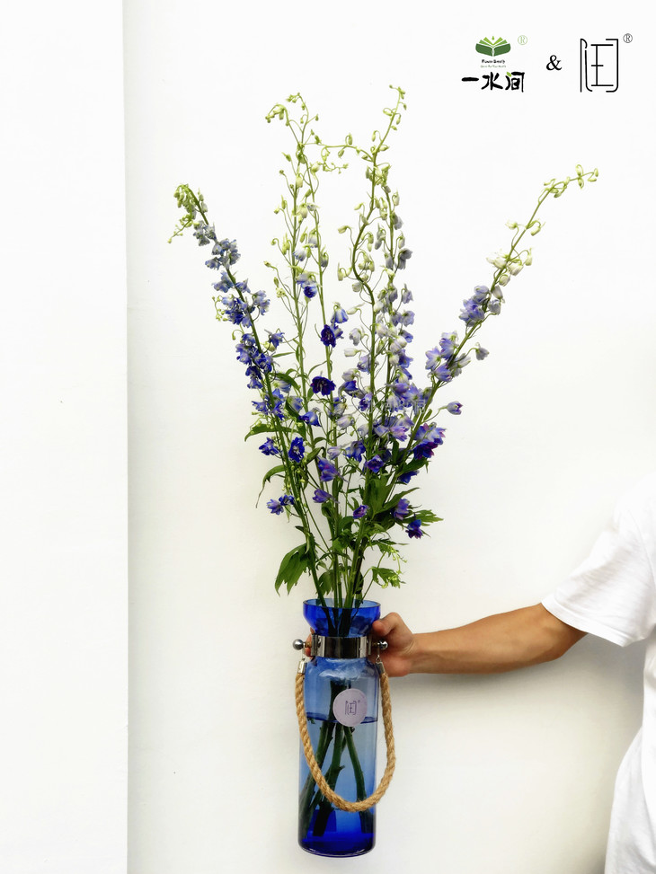 瓶插花清静轻盈大飞燕