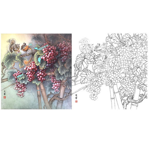 於文普工笔花鸟葡萄白描底稿-松鼠斗方小品册页-WP11 商品图0