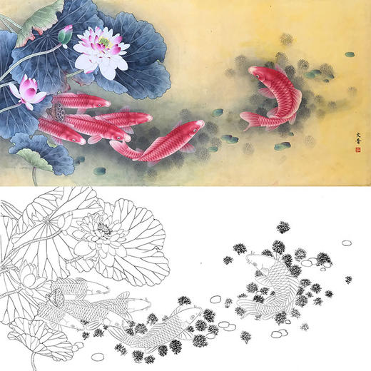 於文普横幅工笔花鸟荷花鲤鱼白描底稿满堂红多种白描尺寸可选wp15