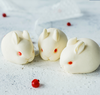 小兔子模具/制作兔子慕斯/巧克力兔子/鸡肉鱼蓉兔子造型菜 商品缩略图8