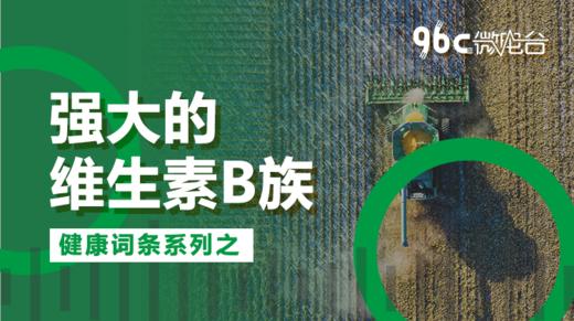 强大的维生素B族 | 96C微电台 商品图0