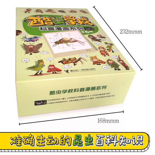 酷虫学校昆虫科普漫画系列·飞虫班（共6册）+杂虫班（共6册）+甲虫班（共6册） 商品图4