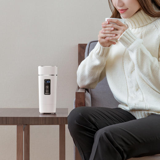 DAEWOO韩国大宇便携式旅行电热水壶烧水壶D2 商品图1