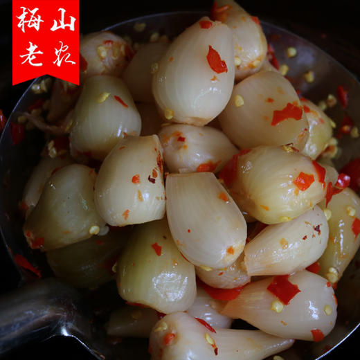 【梅山老农】新化特产农家酸辣藠头（俗称：胡意在）500g 商品图2