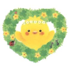 小鸡球球-piyo动画-主题曲 商品图0