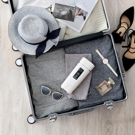 DAEWOO韩国大宇便携式旅行电热水壶烧水壶D2 商品图2