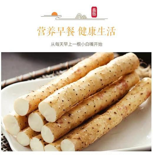 河南铁棍山药5斤装（原产地发货） 商品图3