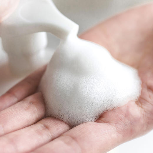 【特惠6.8折起】芬亚 椰油洗手皂液 泡沫丰富细腻 250ml/2L 商品图2