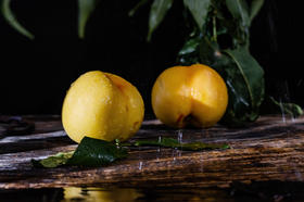 7月22日极客食安早报