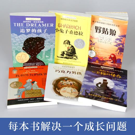 野姑娘 巧克力男孩 追梦孩子 小兔子桑德拉 我和外公的战争 一只猫的使命长青藤国际大奖小说第九辑 6册套装 商品图3