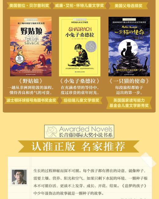野姑娘 巧克力男孩 追梦孩子 小兔子桑德拉 我和外公的战争 一只猫的使命长青藤国际大奖小说第九辑 6册套装 商品图1
