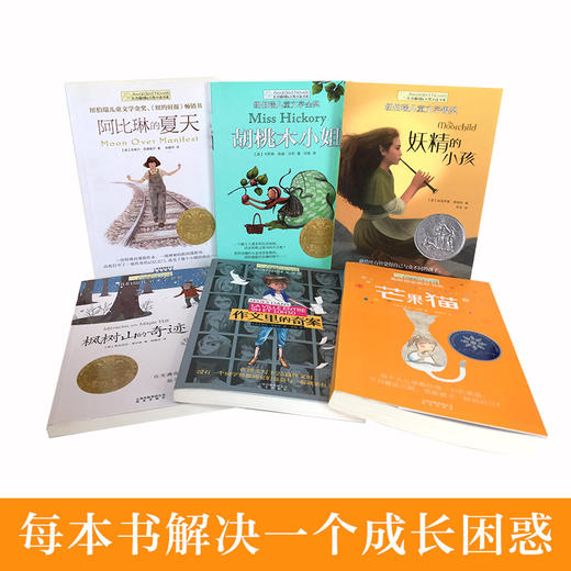 芒果猫 阿比琳的夏天 胡桃木小姐 妖精的小孩 枫树山的奇迹 作文里的奇案3-6长青藤国际大奖小说第三辑套装6册 商品图2