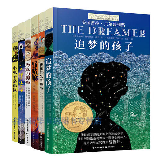 野姑娘 巧克力男孩 追梦孩子 小兔子桑德拉 我和外公的战争 一只猫的使命长青藤国际大奖小说第九辑 6册套装 商品图4