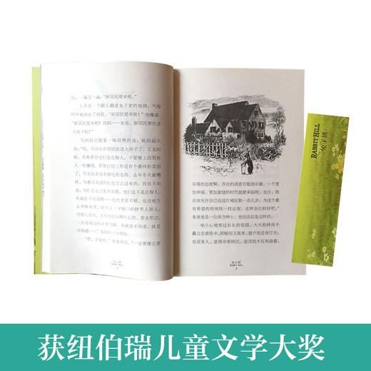 吹号手的诺言！彩虹鸽 兔子坡 木头娃娃 阁楼里的秘密 十岁那年1-6长青藤国际大奖小说第一辑套装6册 商品图2