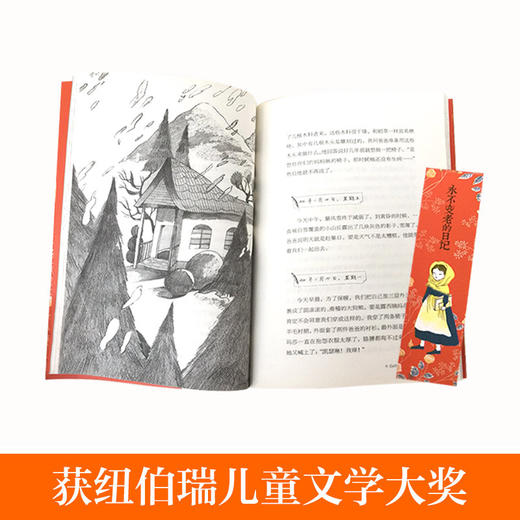 小荷马的大冒险 糖人沼泽侦察兵 坏脾气的玛格丽特 明天会有好运气 倩达的秘密 永不变老的日记 4-6长青藤国际大奖小说第四辑套装6册 商品图3