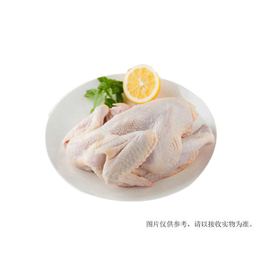 博罗胡须鸡 商品图0