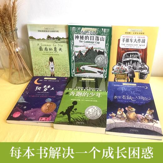 最后的夏天 织梦人 奔跑的少年 教堂老鼠的大冒险 神秘的日落山  手推车大作战  7-6长青藤国际大奖小说第七辑《套装6册 商品图3