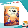 野姑娘  六年级正版现货速发|名师推荐|小学生课外阅读6年级 商品缩略图0